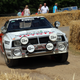 Illustration for article titled Tons Of Classic Rally Cars? Tons Of Classic Rally Cars!